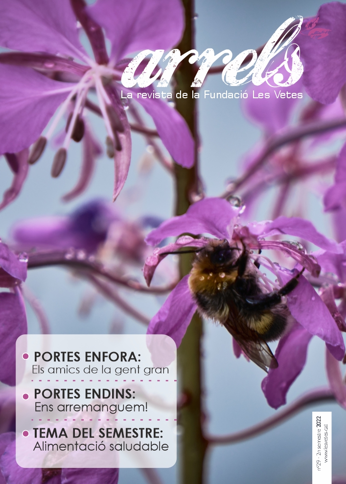 Revista Arrels Les Vetes 2015